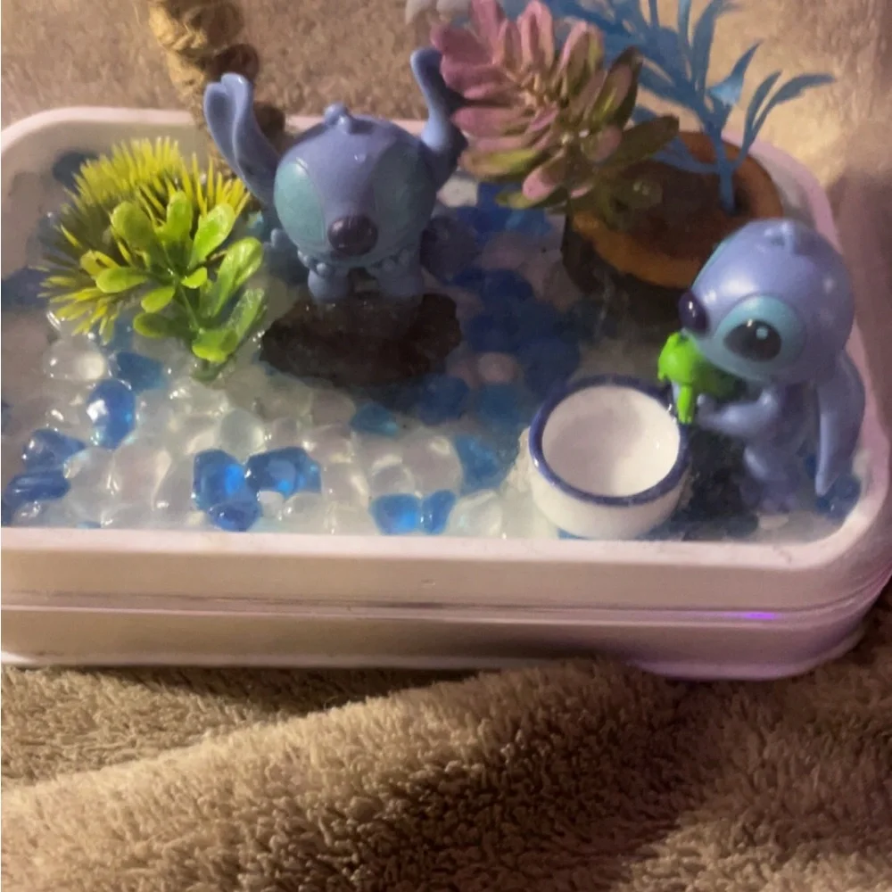Custom jumping spiders enclosure